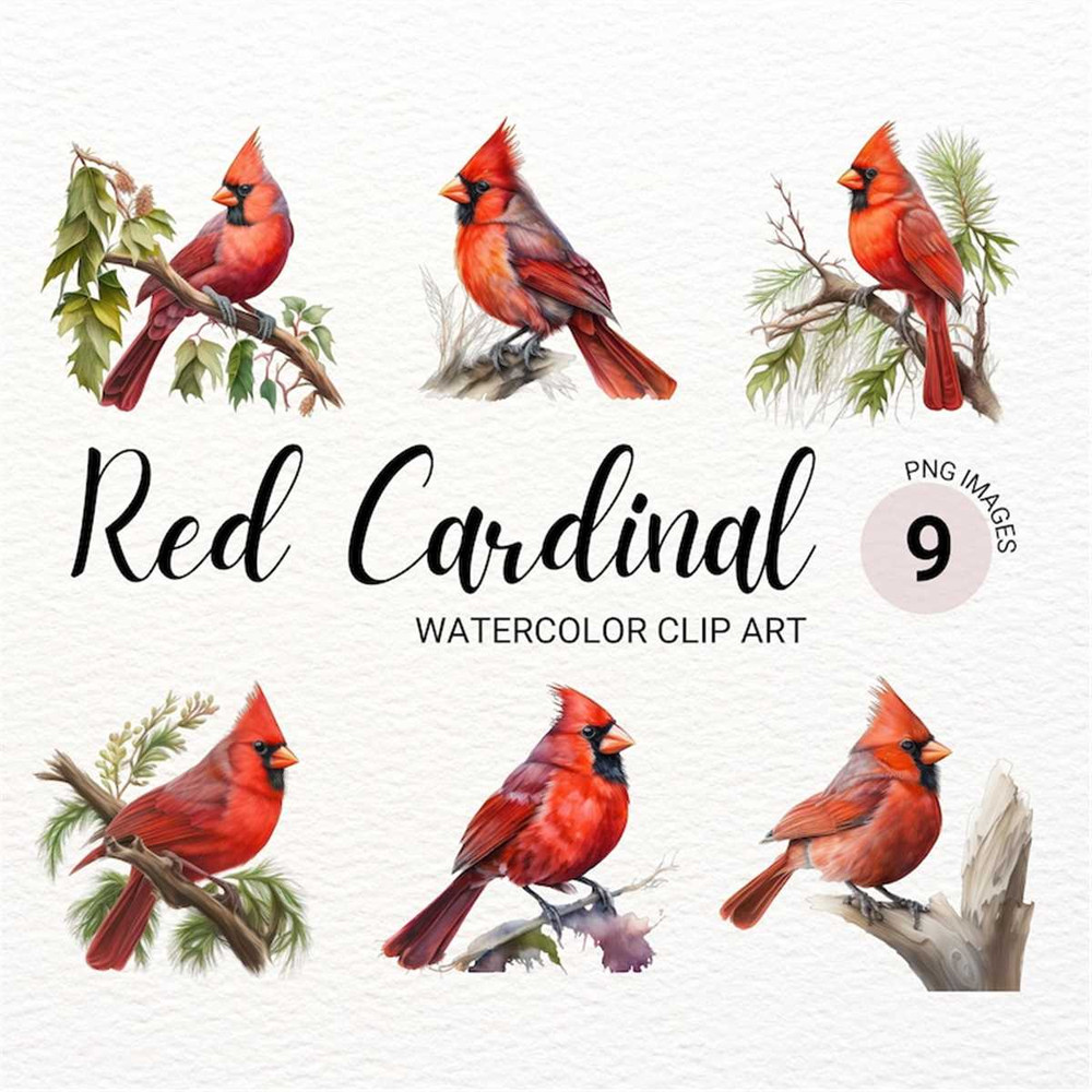 MR-2772023141746-red-cardinal-png-red-cardinal-bird-cardinal-clipart-image-1.jpg