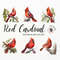 MR-2772023141746-red-cardinal-png-red-cardinal-bird-cardinal-clipart-image-1.jpg
