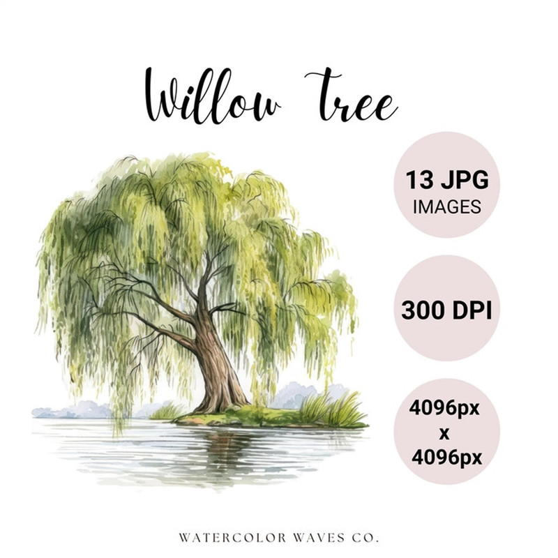MR-277202314200-willow-tree-clipart-watercolor-floral-jpg-junk-journal-image-1.jpg