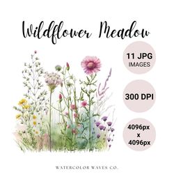 wildflower meadow clipart bundle | watercolor spring flowers jpg | floral junk journal | wedding invitation | digital pl