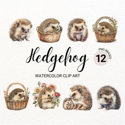mom and baby hedgehog clipart | watercolor hedgehog png | nursery wall art | animal clipart | kawaii clipart | cute hedg