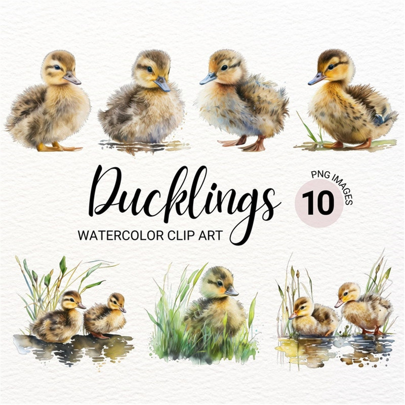 MR-2772023143258-fluffy-ducklings-png-chicks-clipart-baby-ducks-png-duck-image-1.jpg
