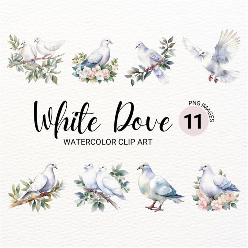MR-277202314344-white-dove-clipart-watercolor-bird-png-junk-journal-image-1.jpg