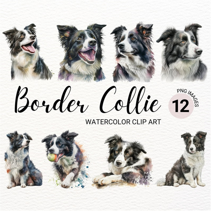 MR-2772023143425-border-collie-clipart-cute-dog-clipart-dog-png-image-1.jpg