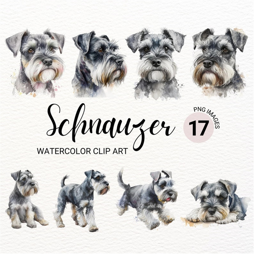MR-2772023143738-miniature-schnauzer-clipart-cute-dog-clipart-dog-png-image-1.jpg