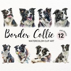 border collie clipart | cute dog clipart | dog png | watercolor border collie png | dog portrait | commercial license