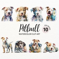 pitbull clipart | dog png  | cute dog clipart | nursery clipart | dog watercolor | dog portrait | puppy images | pitbull