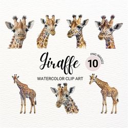 cute giraffe clipart | watercolor giraffe png | safari animals clipart bundle | junk journal | nursery wall art | digita