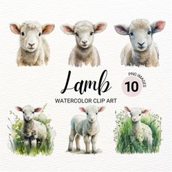 baby lamb clipart | lamb png | baby animals | farm animals png | baby sheep | nursery wall art | cute animals clipart