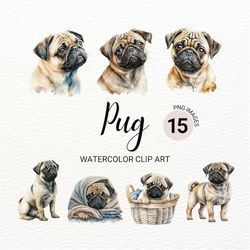 pug clipart | dog png | pug puppy clipart | cute dog clipart | dog portrait | dog watercolor | puppy images | commercial