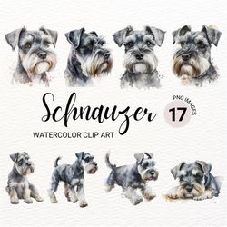 miniature schnauzer clipart | cute dog clipart | dog png | watercolor schnauzer png | schnauzer wall | dog portrait | pu