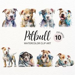 pitbull clipart | dog png  | cute dog clipart | nursery clipart | dog watercolor | dog portrait | puppy images | pitbull