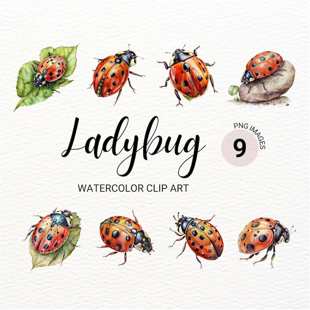 MR-2772023144519-watercolor-ladybug-clipart-insect-clipart-junk-journal-image-1.jpg