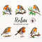 MR-2772023144538-robin-bird-clipart-robin-bird-png-watercolor-bird-clipart-image-1.jpg