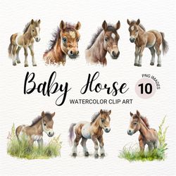 baby horse png | horse clipart | watercolor horse | baby animals | western clipart | farm animals png | cute horses imag