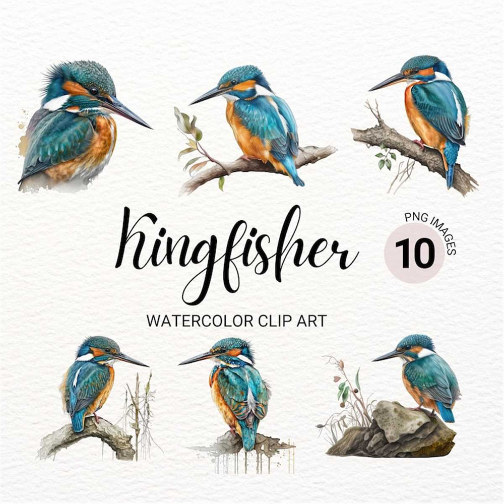 MR-2772023145111-kingfisher-clipart-bird-clipart-watercolor-kingfisher-image-1.jpg