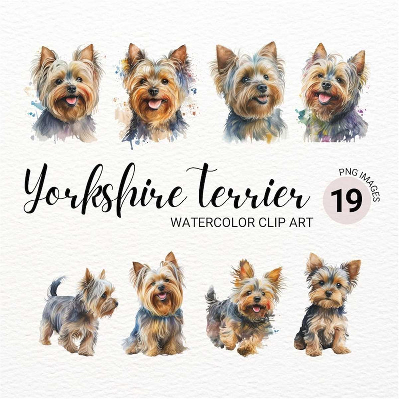 MR-2772023145226-puppy-yorkshire-terrier-clipart-watercolor-yorkie-png-cute-image-1.jpg