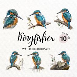 kingfisher clipart | bird clipart | watercolor kingfisher | cute blue bird png | bird wall art | animal clipart | digita
