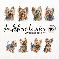 puppy yorkshire terrier clipart | watercolor yorkie png | cute dog clipart | dog portrait | dog png | nursery decor