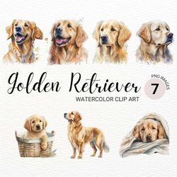 golden retriever puppies clipart | golden retriever png | cute dog clipart | dog png | dog portrait | watercolor clipart