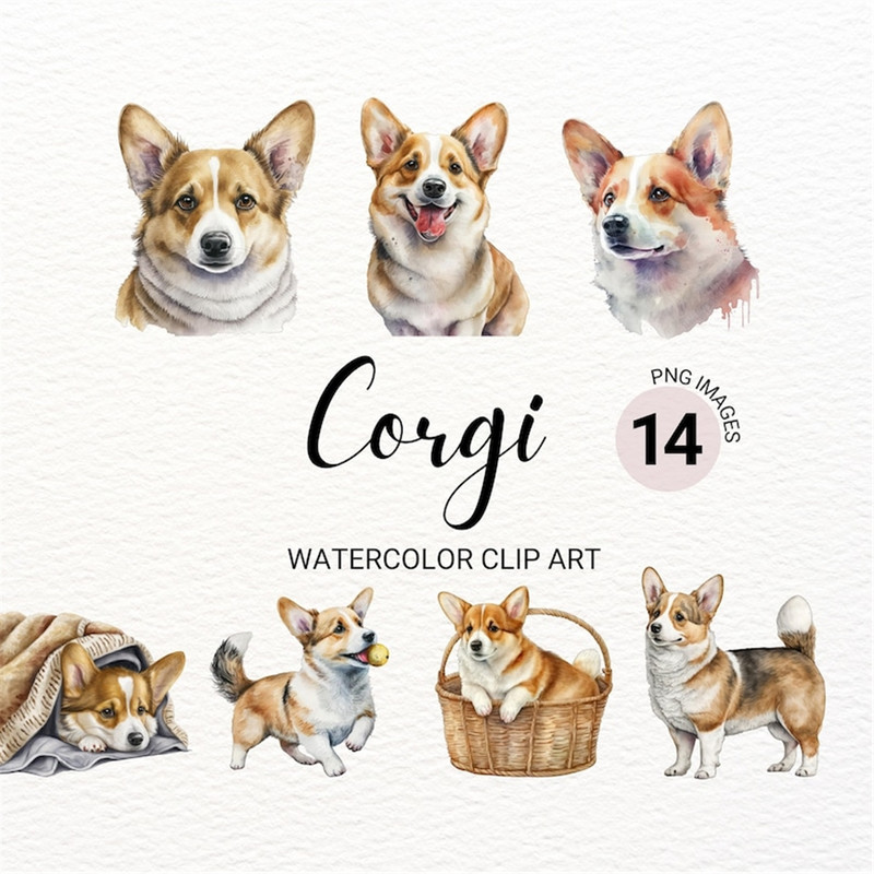 MR-277202315057-corgi-dog-clipart-corgi-art-dog-png-watercolor-dog-image-1.jpg