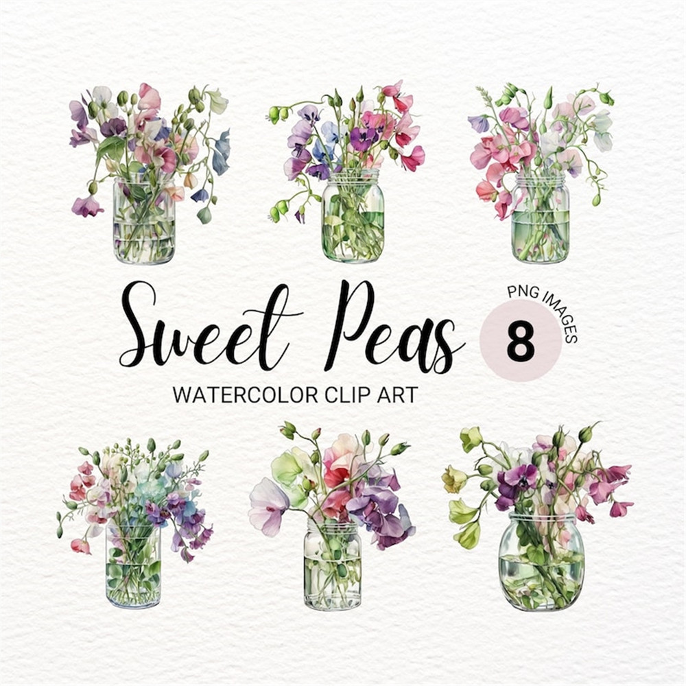MR-277202315138-sweet-peas-in-a-vase-clipart-floral-png-watercolor-flower-image-1.jpg