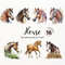 MR-27720231533-horse-png-horse-clipart-set-watercolor-horse-western-image-1.jpg
