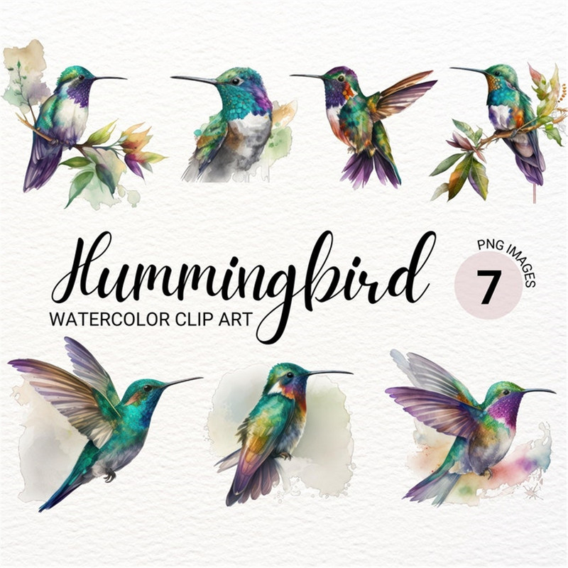 MR-277202315846-hummingbird-png-humming-bird-watercolor-bird-clipart-cute-image-1.jpg