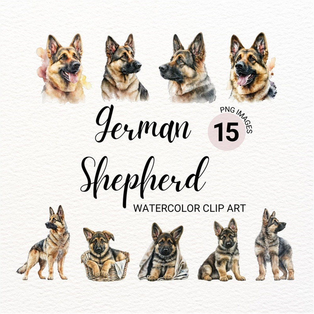 MR-277202315959-german-shepherd-png-dog-png-german-shepherd-art-cute-dog-image-1.jpg
