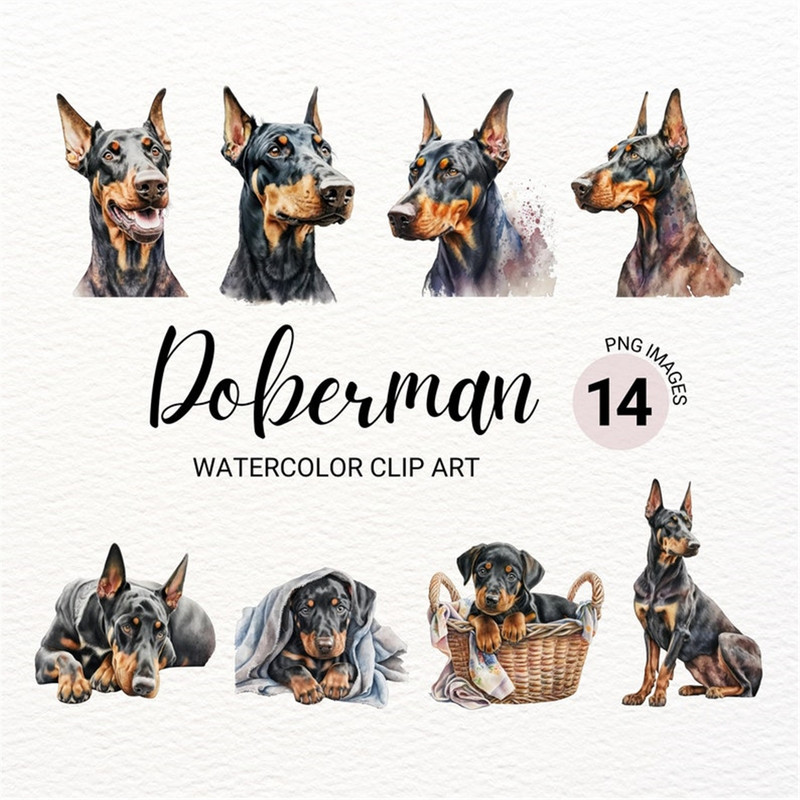 MR-2772023151131-doberman-clipart-dog-png-doberman-puppy-clipart-doberman-image-1.jpg