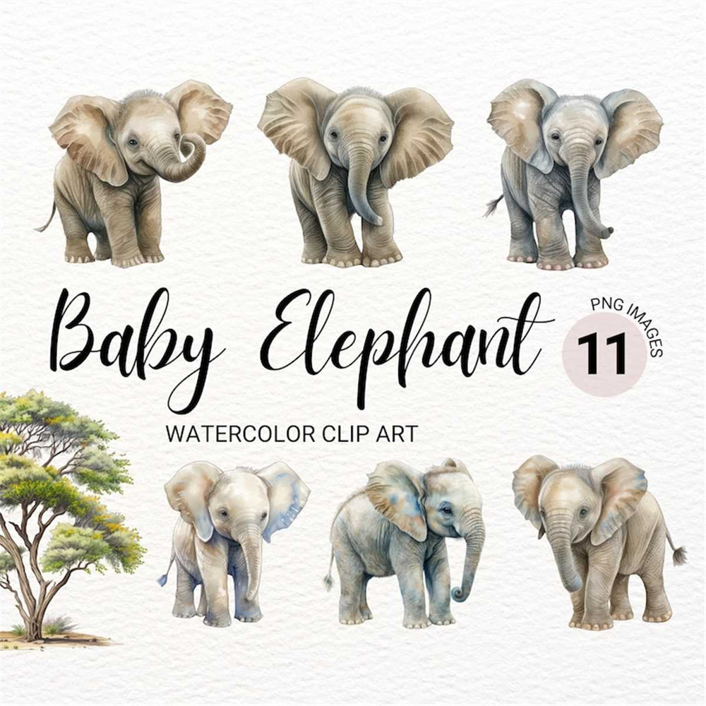 MR-2772023151136-baby-elephant-png-baby-animals-clipart-watercolor-elephant-image-1.jpg