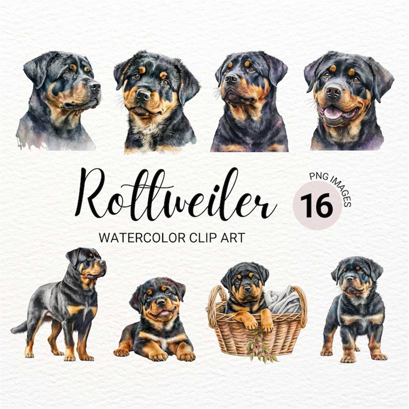 MR-277202315121-rottweiler-clipart-dog-png-rottweiler-puppy-clipart-cute-image-1.jpg