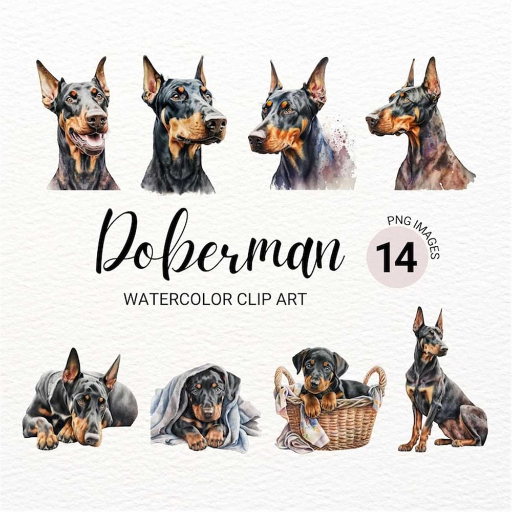 MR-2772023151227-doberman-clipart-dog-png-doberman-puppy-clipart-doberman-image-1.jpg