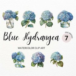 blue hydrangea clipart | hydrangea bouquet png | floral png | watercolor blue flowers | flower clipart | botanical art |