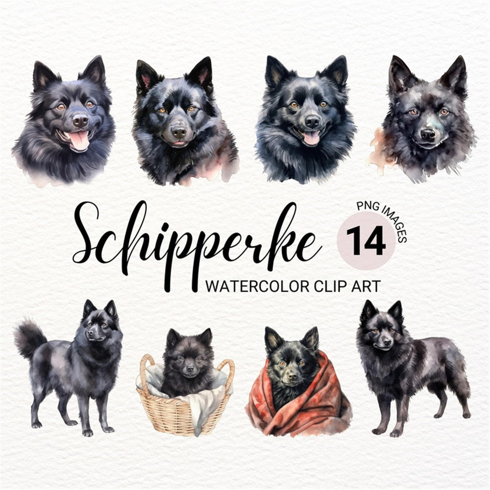 MR-2772023151348-schipperke-dog-clipart-watercolor-dog-png-dog-portrait-image-1.jpg