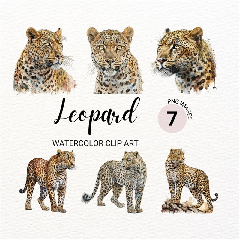 MR-2772023151412-leopard-clipart-watercolor-leopard-png-safari-animals-image-1.jpg