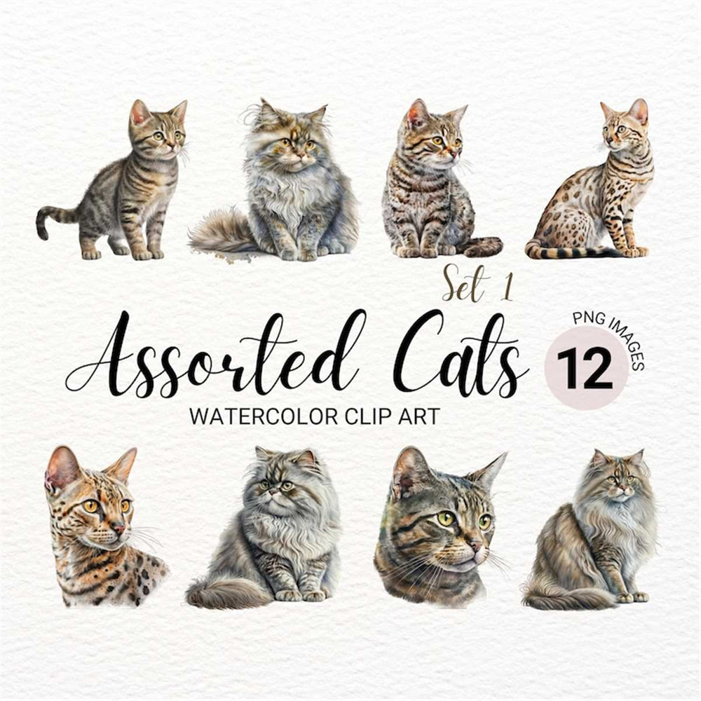 MR-2772023151437-cat-breeds-png-watercolor-cats-clipart-bundle-cute-pet-image-1.jpg