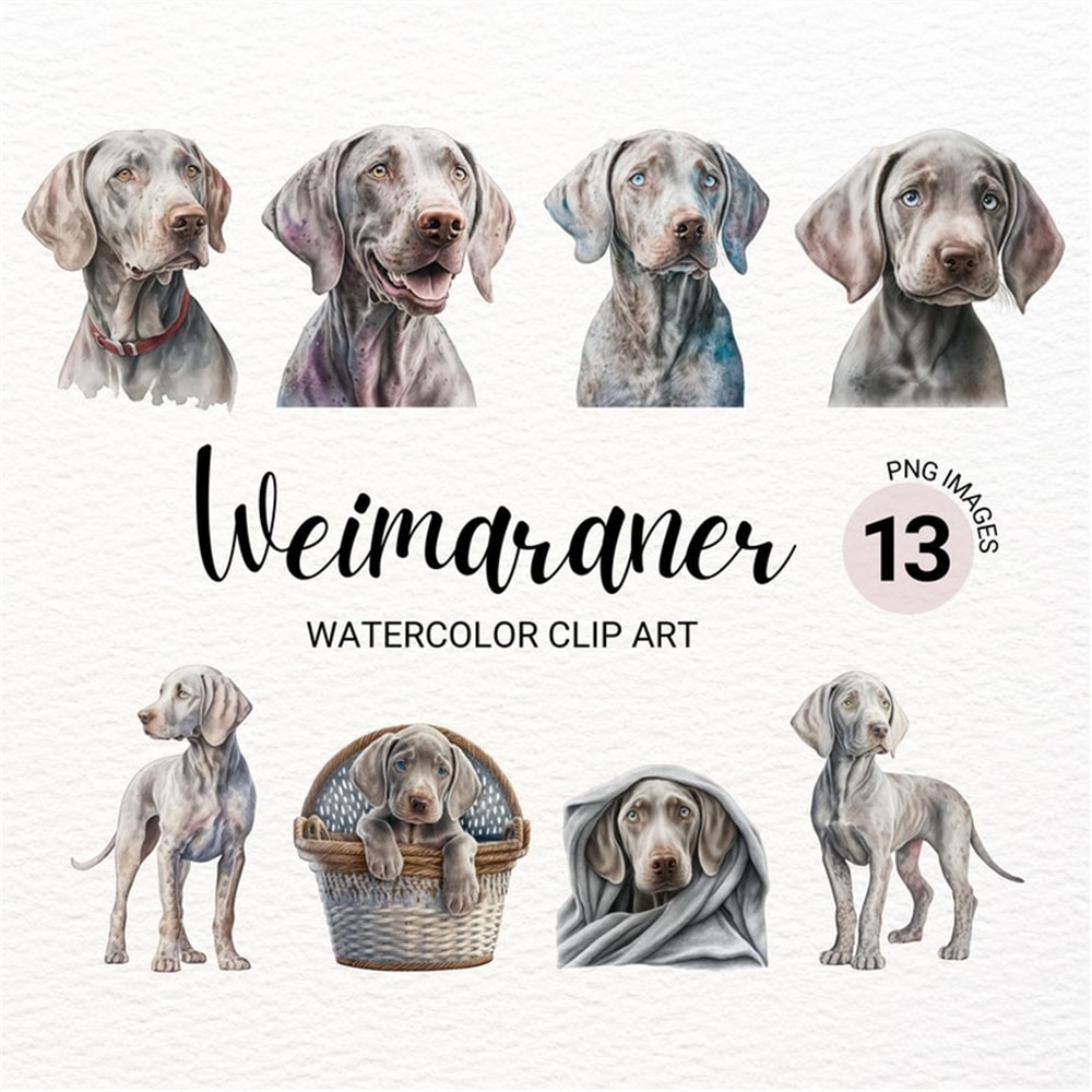MR-2772023151548-weimaraner-clipart-dog-png-watercolor-dog-clipart-dog-image-1.jpg