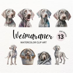 weimaraner clipart | dog png | watercolor dog clipart | dog portrait | weimaraner dog | puppy images | nursery wall art