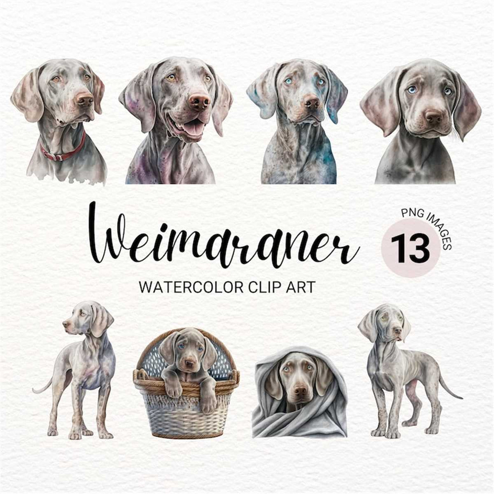MR-2772023151715-weimaraner-clipart-dog-png-watercolor-dog-clipart-dog-image-1.jpg