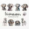 MR-2772023151715-weimaraner-clipart-dog-png-watercolor-dog-clipart-dog-image-1.jpg
