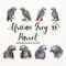MR-2772023151724-watercolor-african-gray-parrot-clipart-bird-clipart-bundle-image-1.jpg