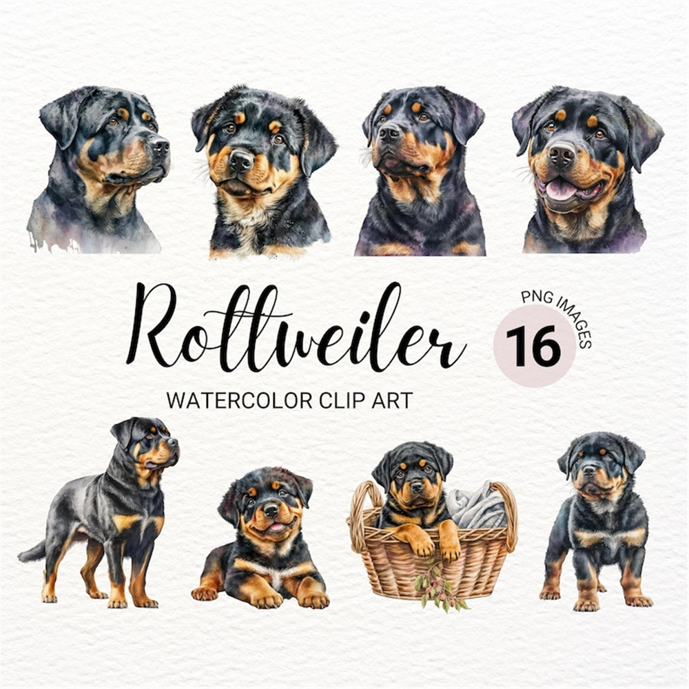 MR-2772023151744-rottweiler-clipart-dog-png-rottweiler-puppy-clipart-cute-image-1.jpg