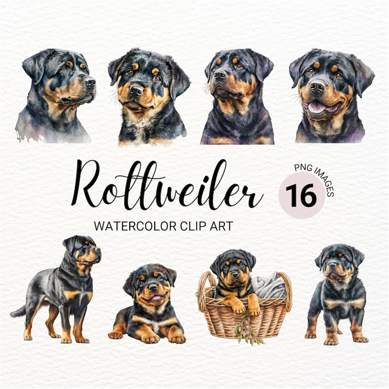 MR-2772023151744-rottweiler-clipart-dog-png-rottweiler-puppy-clipart-cute-image-1.jpg