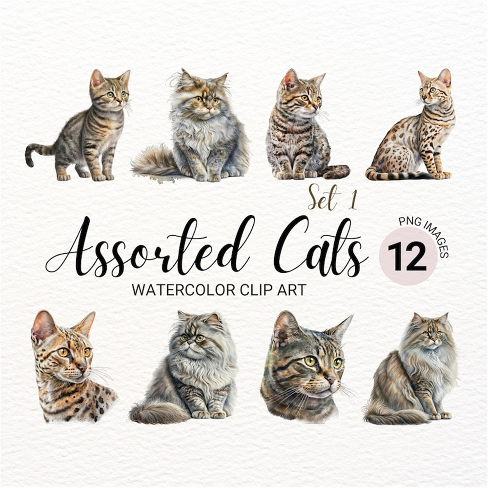 MR-277202315204-cat-breeds-png-watercolor-cats-clipart-bundle-cute-pet-image-1.jpg