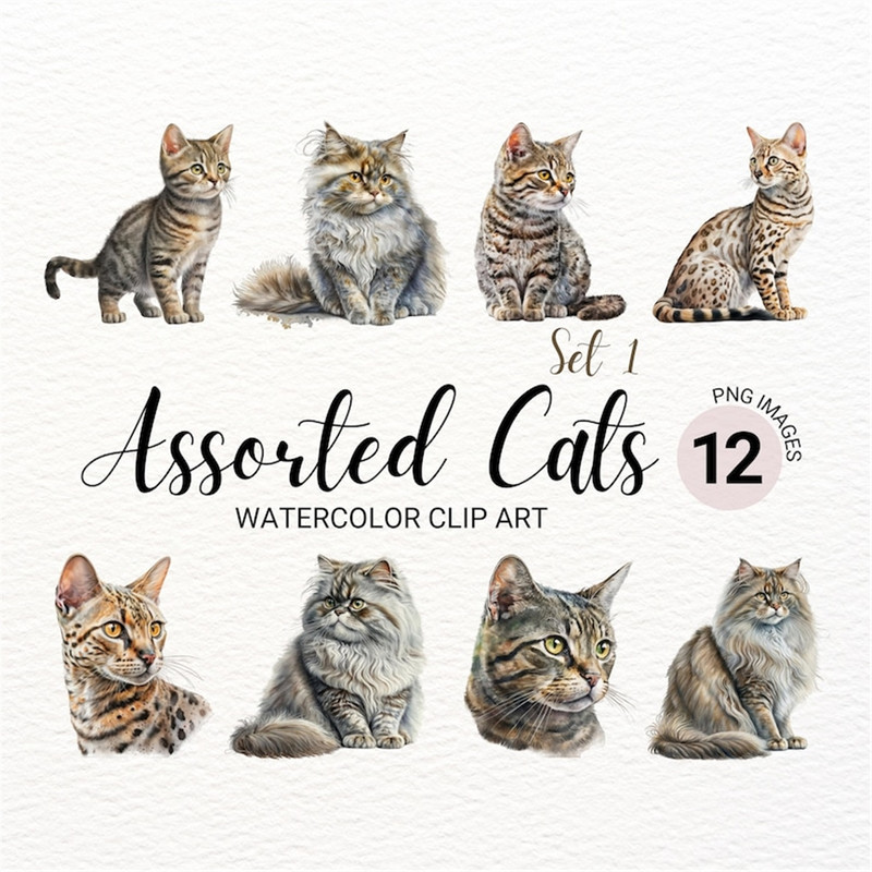 MR-277202315204-cat-breeds-png-watercolor-cats-clipart-bundle-cute-pet-image-1.jpg