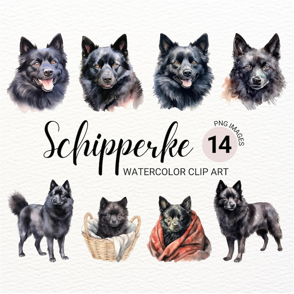 MR-2772023152033-schipperke-dog-clipart-watercolor-dog-png-dog-portrait-image-1.jpg