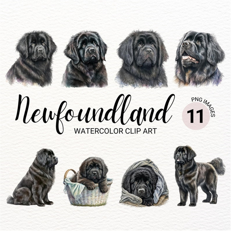 MR-2772023152035-newfoundland-dog-png-watercolor-newfoundland-dog-clipart-image-1.jpg