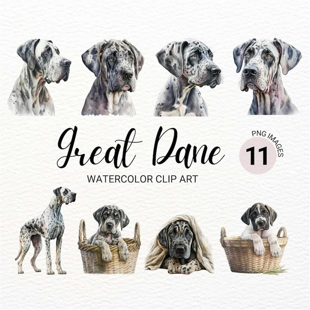 MR-2772023152051-great-dane-clipart-dog-png-watercolor-dog-clipart-dog-image-1.jpg