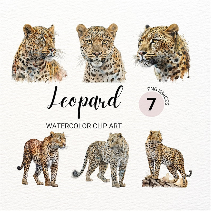 MR-2772023152054-leopard-clipart-watercolor-leopard-png-safari-animals-image-1.jpg